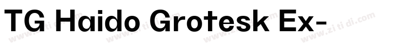 TG Haido Grotesk Ex字体转换